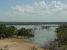 Биотоп обитания вида. Photo by Donald Taphron. Печатается с разрешения автора