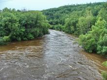 Река Ульбинка в половодье, биотоп гольяна китайского. Фото Елены Лукиной.
