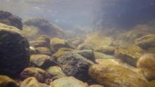 Река Вардар под водой. Фото Алексея Малышева