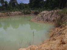 Биотоп обитания вида. Photo by Donald Taphron. Печатается с разрешения автора