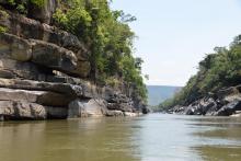 Биотоп обитания вида. Photo by Mark Sabaj Perez